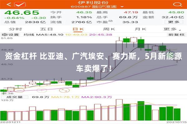 资金杠杆 比亚迪、广汽埃安、赛力斯，5月新能源车卖爆了！