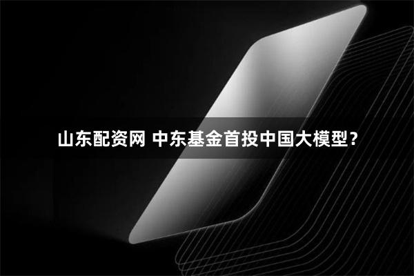 山东配资网 中东基金首投中国大模型？