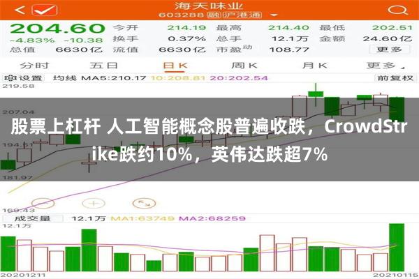 股票上杠杆 人工智能概念股普遍收跌，CrowdStrike跌约10%，英伟达跌超7%