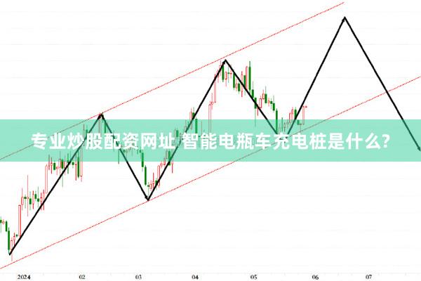 专业炒股配资网址 智能电瓶车充电桩是什么?