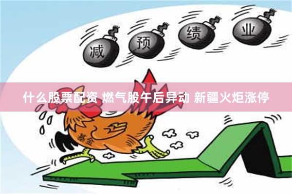 什么股票配资 燃气股午后异动 新疆火炬涨停