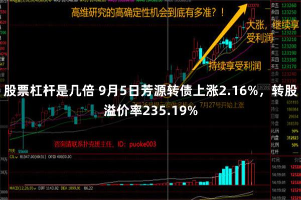 股票杠杆是几倍 9月5日芳源转债上涨2.16%，转股溢价率235.19%