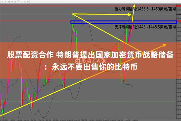 股票配资合作 特朗普提出国家加密货币战略储备：永远不要出售你的比特币