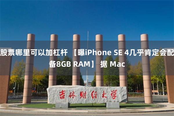 股票哪里可以加杠杆 【曝iPhone SE 4几乎肯定会配备8GB RAM】 据 Mac