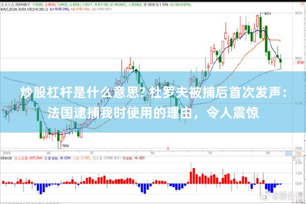 炒股杠杆是什么意思? 杜罗夫被捕后首次发声：法国逮捕我时使用的理由，令人震惊