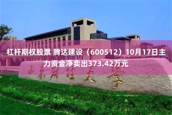 杠杆期权股票 腾达建设（600512）10月17日主力资金净卖出373.42万元