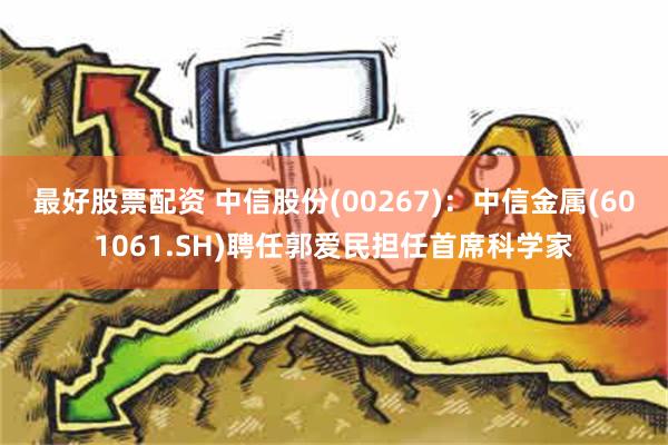 最好股票配资 中信股份(00267)：中信金属(601061.SH)聘任郭爱民担任首席科学家