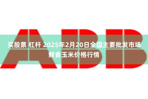 买股票 杠杆 2025年2月20日全国主要批发市场鲜食玉米价格行情